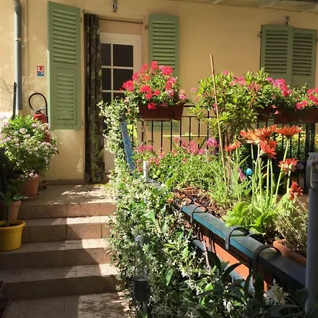 Des Dames * Nizza